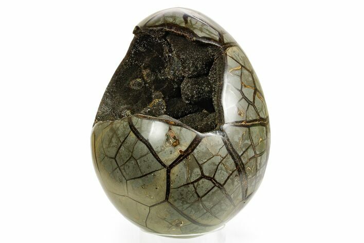 Septarian Dragon Egg Geode - Black Crystals #364467